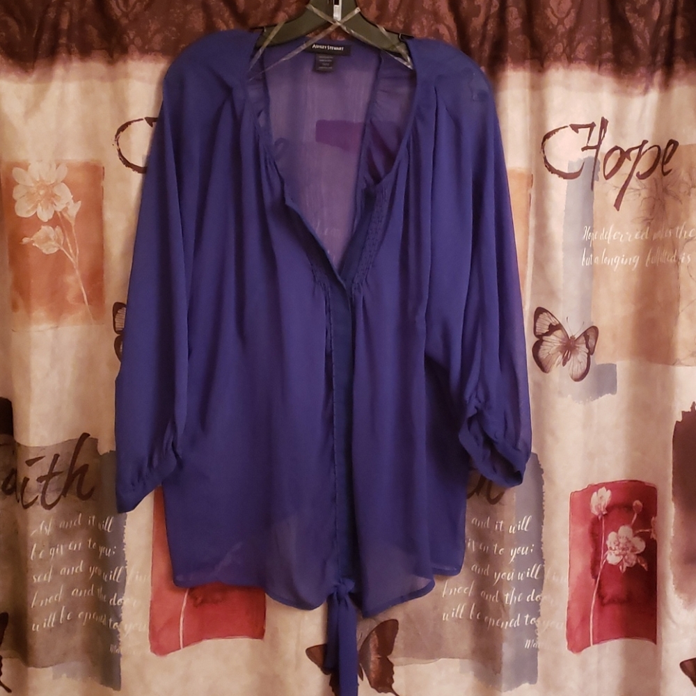Sheer Cobalt/Royal Blue Top